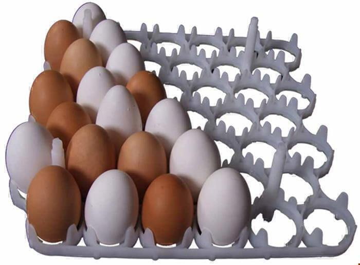 شانه تخم مرغ طرح جذاب کاربرد منحصر به فرد